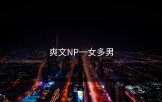 爽文NP一女多男