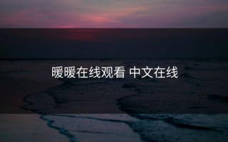 暖暖在线观看 中文在线
