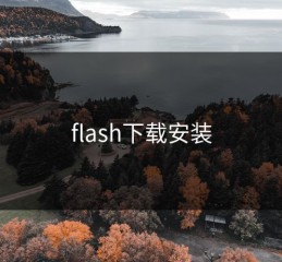 flash下载安装