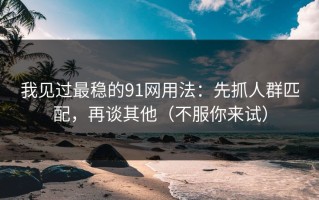 我见过最稳的91网用法：先抓人群匹配，再谈其他（不服你来试）