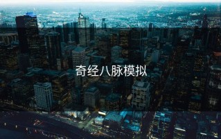 奇经八脉模拟