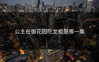 公主在御花园吃龙棍是哪一集