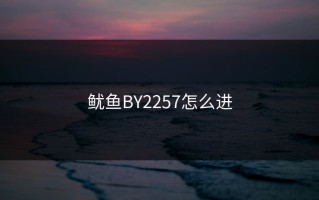 鱿鱼BY2257怎么进
