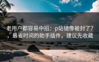 老用户都容易中招：p站镜像被封了？，最省时间的助手插件，建议先收藏