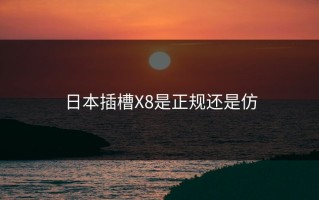 日本插槽X8是正规还是仿