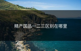 精产国品一二三区别在哪里